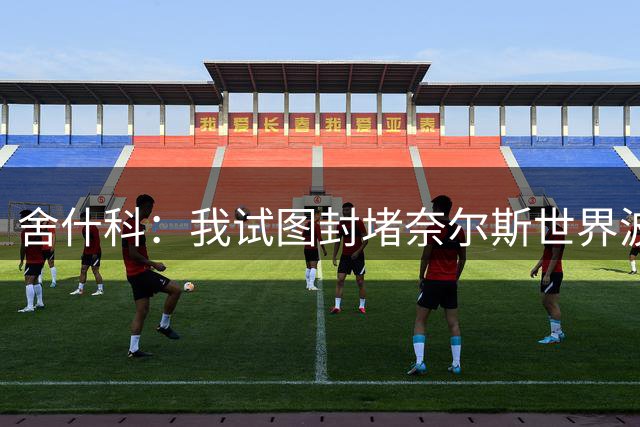 舍什科：我试图封堵奈尔斯世界波但失败了，被这样子绝平非常难受